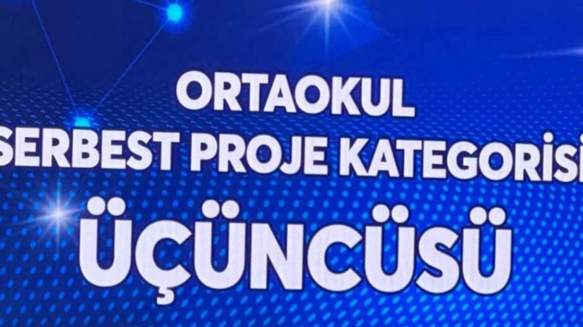 TEKNOSEL ROBOT FESTİVALİ